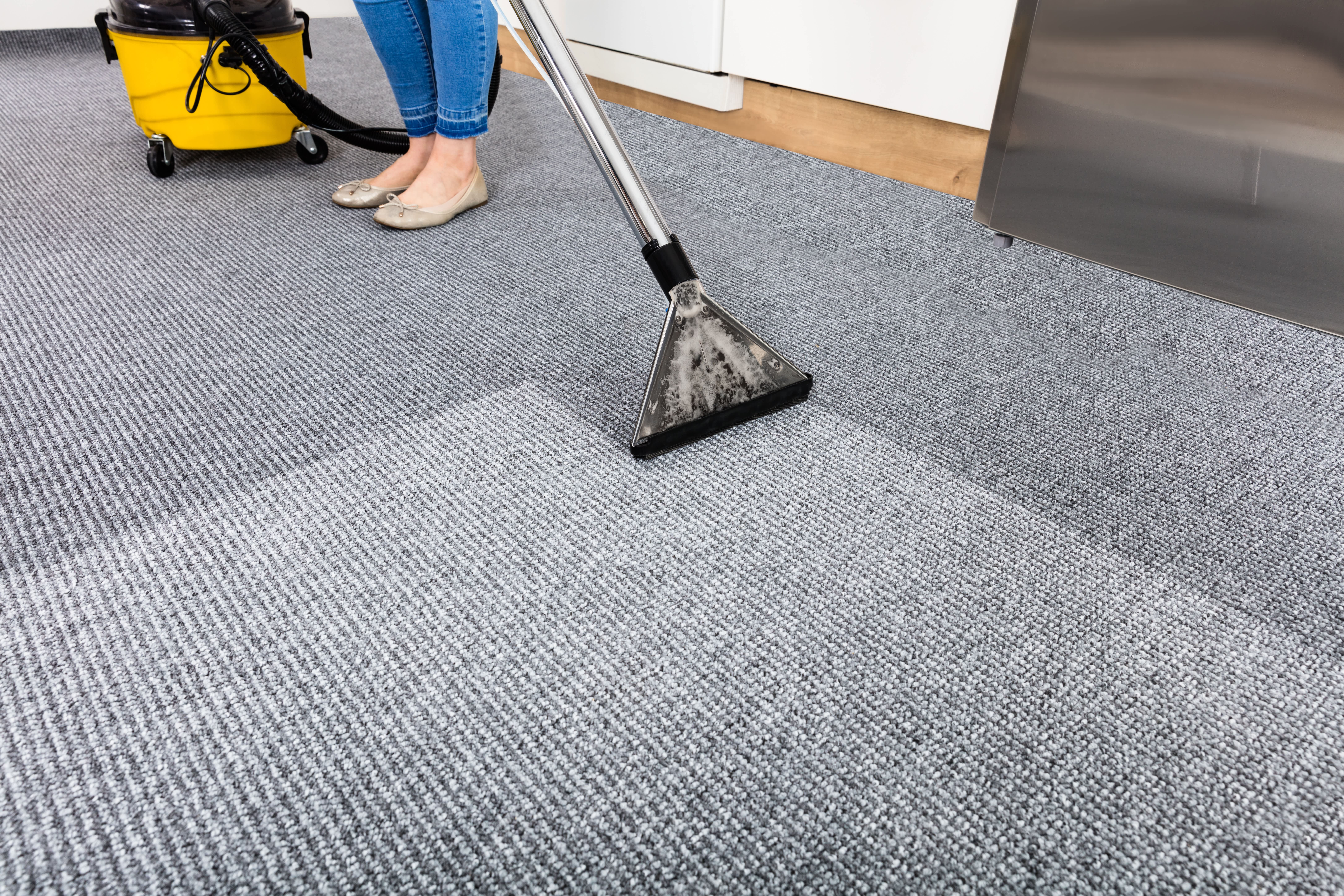 best carpet steam cleaning